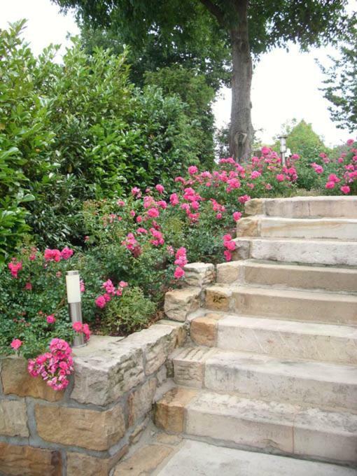 Villa Fleurie Schledehausen Ngoại thất bức ảnh